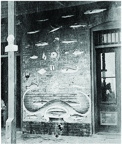 1911 photo of the front of the Charles Champion Building featuring a Manta Ray.