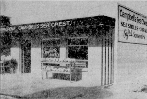 WILL OPEN TOMORROW - Campbell’s Sea Chest across from the lighthouse will have their formal opening tomorrow, Saturday, and will give many door prizes to adults, bubble gum and balloons to all children accompanied by their parents: Many interesting items are displayed in this new store. (Staff Photo, Port Isabel Press, 1/29/1954)