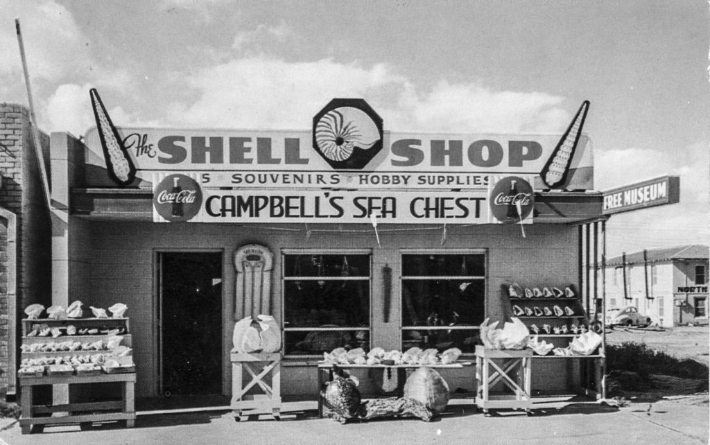 Post 1954, The Shell Shop, Campbell's Sea Chest, has added signage and displays to the store front.